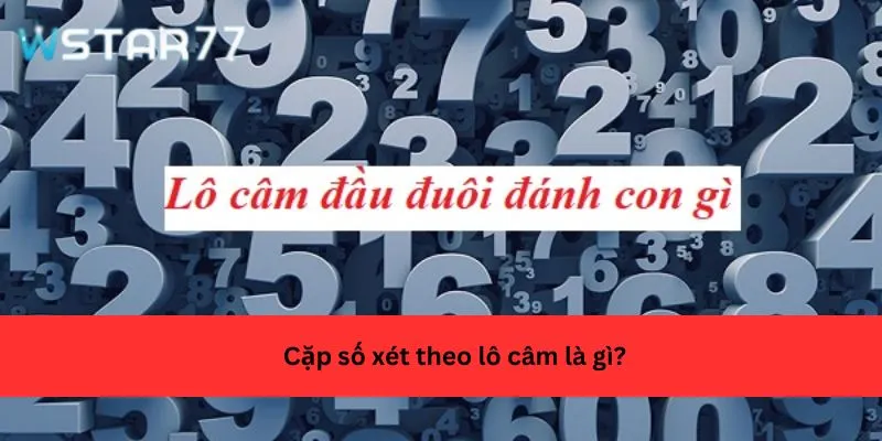 Cặp số xét theo lô câm là gì?